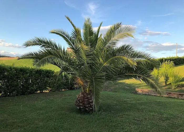 Casa San Pietro, Restored With Pool Ostra Vetere